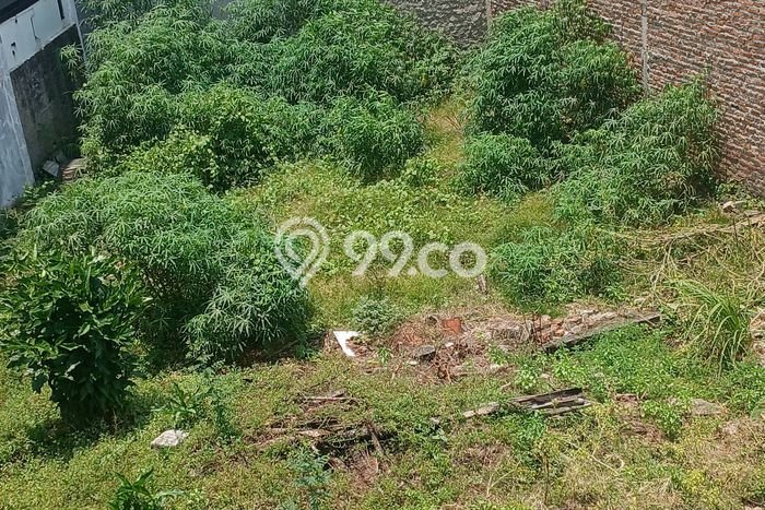 Lahan Kosong Dijual di Tambun Selatan, Bekasi, Luas 1268m2 Area Strategis Lahan Kosong Dijual di Tambun Selatan, Bekasi, Luas 1268m2 Area Strategis