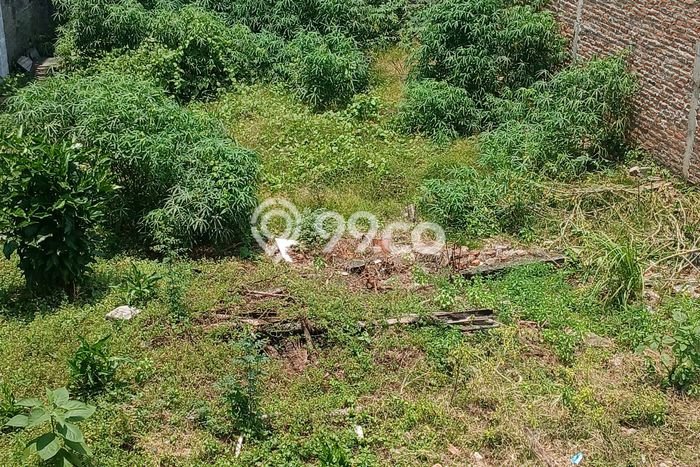 Lahan Kosong Dijual di Tambun Selatan, Bekasi, Luas 1268m2 Area Strategis Lahan Kosong Dijual di Tambun Selatan, Bekasi, Luas 1268m2 Area Strategis