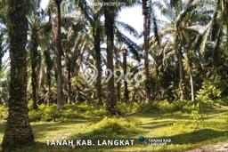 Tanah di Selesai, Luas 120000m², Area Potensial Tanah di Selesai, Luas 120000m², Area Potensial