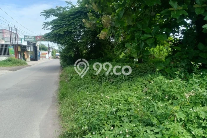 Jarang Ada! Tanah Kavling Disewakan di Cirebon 2049m2 Jarang Ada! Tanah Kavling Disewakan di Cirebon 2049m2