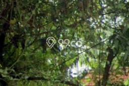 Tanah Disewakan Lokasi Cirebon Seluas 1600m2 Strategis dan Aman Tanah Disewakan Lokasi Cirebon Seluas 1600m2 Strategis dan Aman