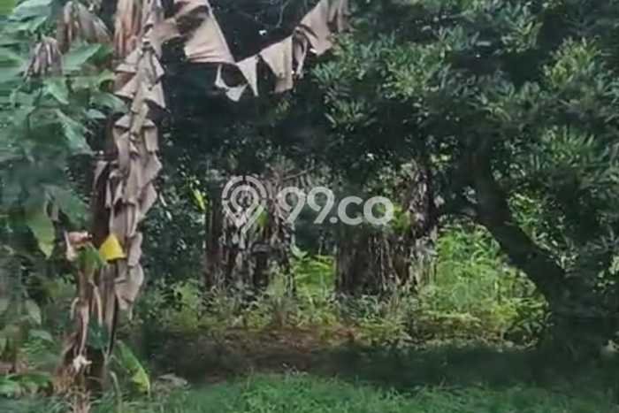 Dijual Tanah Lokasi Bekasi, Bekasi Seluas 5321m2 Dijual Tanah Lokasi Bekasi, Bekasi Seluas 5321m2