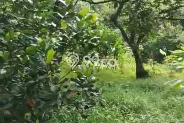 Dijual Tanah Lokasi Bekasi, Bekasi Seluas 5321m2 Dijual Tanah Lokasi Bekasi, Bekasi Seluas 5321m2