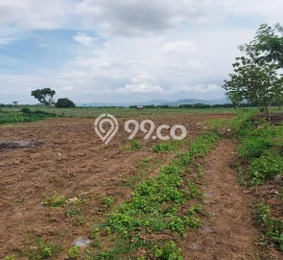 Tanah Dijual Lokasi Margasari, Tegal dengan Luas Tanah 200000m2 dan Status SHM Tanah Dijual Lokasi Margasari, Tegal dengan Luas Tanah 200000m2 dan Status SHM