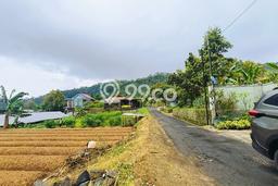 Tanah di Ngargoyoso, Karanganyar Luas 245m2 Dijual Segera Tanah di Ngargoyoso, Karanganyar Luas 245m2 Dijual Segera