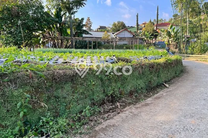 Kavling Tanah Dijual di Ngargoyoso Karanganyar Spesifikasi 211m2 Kavling Tanah Dijual di Ngargoyoso Karanganyar Spesifikasi 211m2