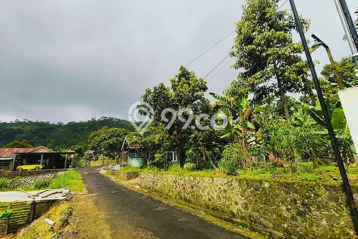 Tanah di Ngargoyoso, Karanganyar Luas 245m2 Dijual Segera Tanah di Ngargoyoso, Karanganyar Luas 245m2 Dijual Segera