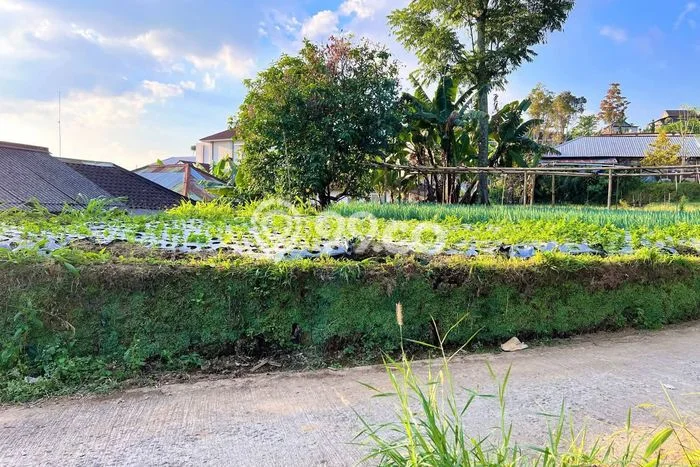 Kavling Tanah Dijual di Ngargoyoso Karanganyar Spesifikasi 211m2 Kavling Tanah Dijual di Ngargoyoso Karanganyar Spesifikasi 211m2