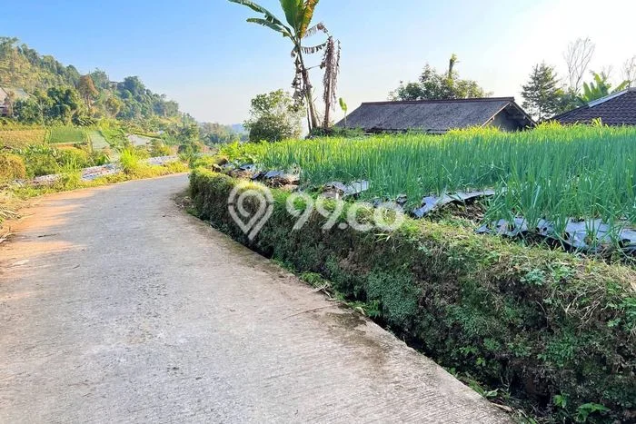Kavling Tanah Dijual di Ngargoyoso Karanganyar Spesifikasi 211m2 Kavling Tanah Dijual di Ngargoyoso Karanganyar Spesifikasi 211m2