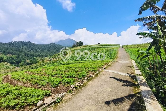 Lahan Dijual Lokasi Tawangmangu, Karanganyar dengan Luas Tanah 325m2 dan Status SHM Lahan Dijual Lokasi Tawangmangu, Karanganyar dengan Luas Tanah 325m2 dan Status SHM