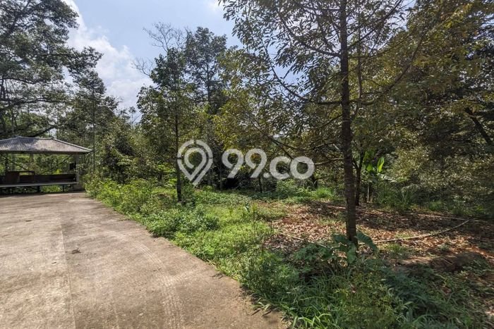 Tanah untuk Dijual di Jumantono Karanganyar Luas 1480m2 Tanah untuk Dijual di Jumantono Karanganyar Luas 1480m2