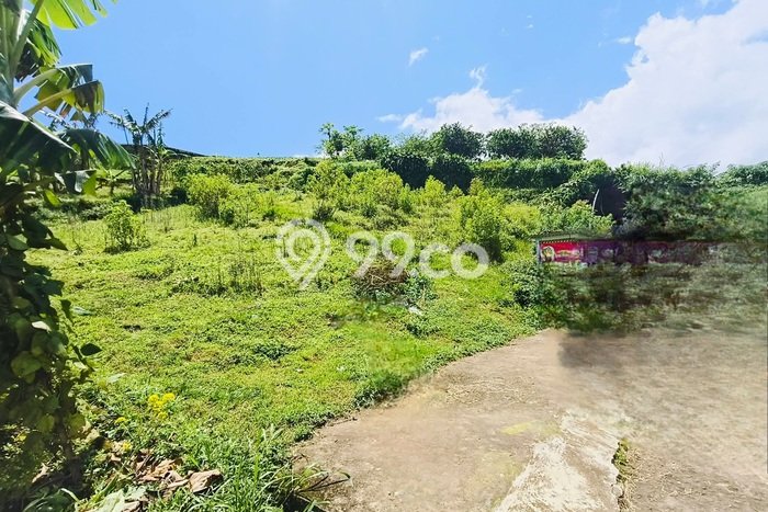 Lahan Dijual Lokasi Tawangmangu, Karanganyar dengan Luas Tanah 325m2 dan Status SHM Lahan Dijual Lokasi Tawangmangu, Karanganyar dengan Luas Tanah 325m2 dan Status SHM
