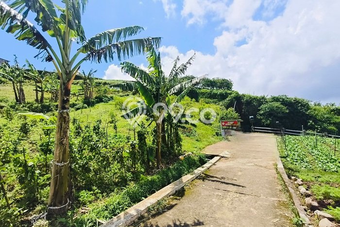 Lahan Dijual Lokasi Tawangmangu, Karanganyar dengan Luas Tanah 325m2 dan Status SHM Lahan Dijual Lokasi Tawangmangu, Karanganyar dengan Luas Tanah 325m2 dan Status SHM