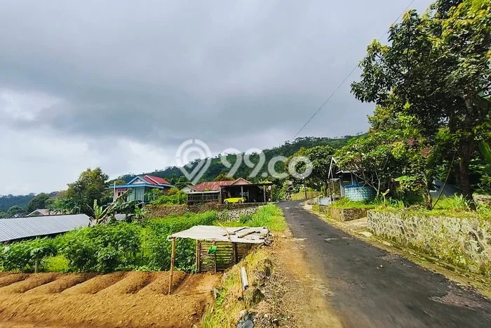 Tanah di Ngargoyoso, Karanganyar Luas 245m2 Dijual Segera Tanah di Ngargoyoso, Karanganyar Luas 245m2 Dijual Segera
