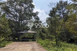 Tanah untuk Dijual di Jumantono Karanganyar Luas 1480m2 Tanah untuk Dijual di Jumantono Karanganyar Luas 1480m2