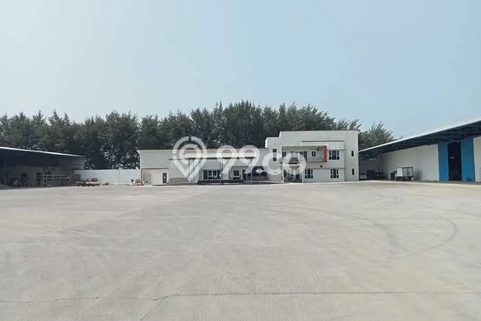 Unit Gudang Paling Strategis di Tegal Barat Tegal dengan LB 5000m2 Unit Gudang Paling Strategis di Tegal Barat Tegal dengan LB 5000m2