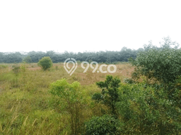 Dijual Tanah di Cileungsi Bogor Luas 51100m2 - Dijual Tanah di Cileungsi Bogor Luas 51100m2 -
