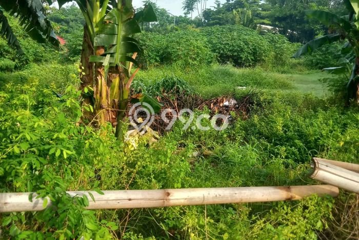 Dijual Tanah Lokasi Semanan, Jakarta Barat Seluas 2400m2 Dijual Tanah Lokasi Semanan, Jakarta Barat Seluas 2400m2