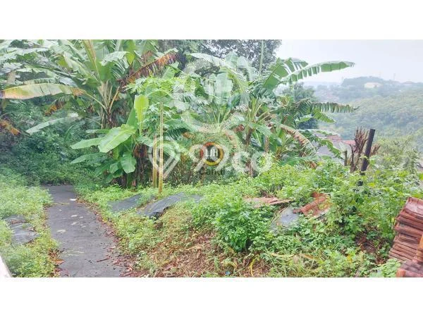 Dijual Rumah Elit Exclusive di Gajah Mungkur, Semarang Dijual Rumah Elit Exclusive di Gajah Mungkur, Semarang