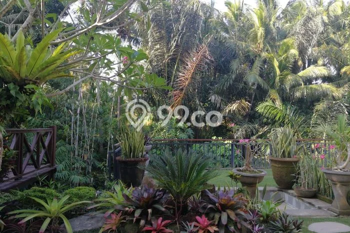 PROMO SPESIAL! Rumah Siap Huni di , Gianyar, LT 500m2m² LB 300m2m² PROMO SPESIAL! Rumah Siap Huni di , Gianyar, LT 500m2m² LB 300m2m²