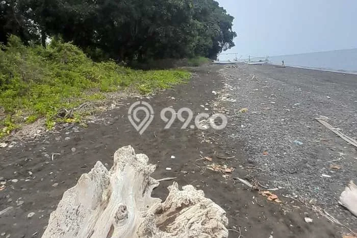 Tanah di Kubutambahan, Buleleng Luas 6400m2 Dijual Segera Tanah di Kubutambahan, Buleleng Luas 6400m2 Dijual Segera