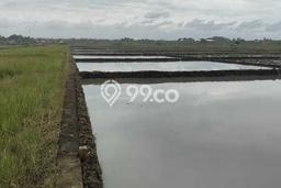 Tanah Dijual di Tabanan Seluas 4620m2 Strategis Tanah Dijual di Tabanan Seluas 4620m2 Strategis