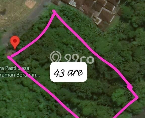 Tanah Dijual Area Strategis di Pandakgede Tabanan 4350m2 Tanah Dijual Area Strategis di Pandakgede Tabanan 4350m2
