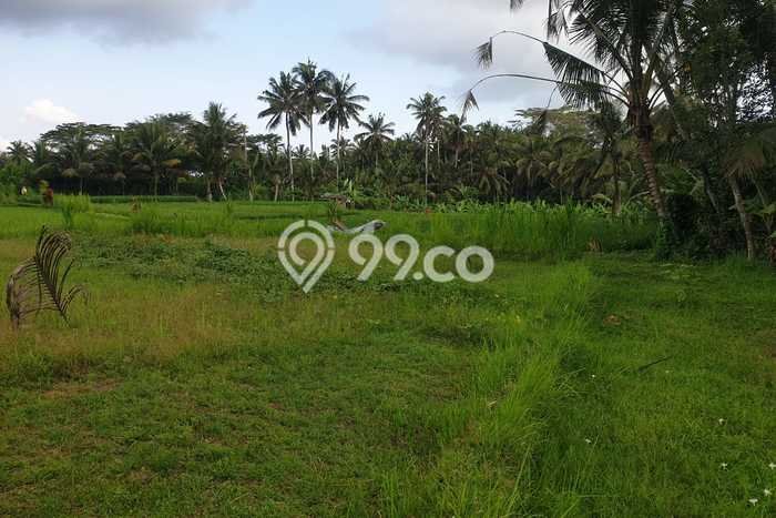 Untuk Dijual Tanah di Gianyar, Luas 3276m2 SHM Untuk Dijual Tanah di Gianyar, Luas 3276m2 SHM