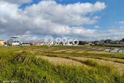 Tanah Kavling Dijual di Canggu, Badung dengan Luas Tanah 460m2 Tanah Kavling Dijual di Canggu, Badung dengan Luas Tanah 460m2
