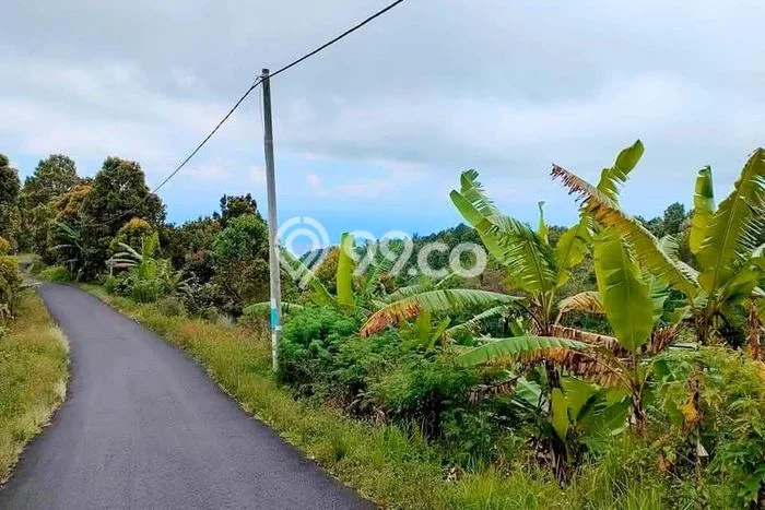 Tanah Dijual di Buleleng Seluas 30000m2 Strategis Tanah Dijual di Buleleng Seluas 30000m2 Strategis