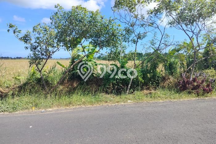 Tanah Lokasi Strategis di , Luas 6200m2m², Akses ke Fasilitas, Lingkungan Asri Tanah Lokasi Strategis di , Luas 6200m2m², Akses ke Fasilitas, Lingkungan Asri
