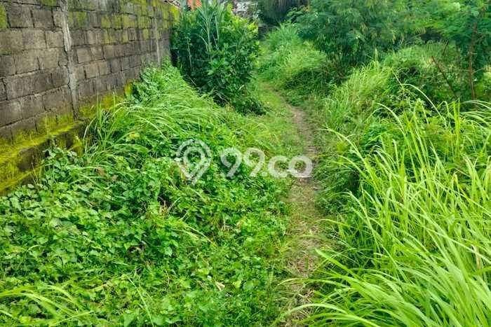 Tanah Kavling Dijual di Gianyar dengan Spesifikasi 5000m2 Tanah Kavling Dijual di Gianyar dengan Spesifikasi 5000m2
