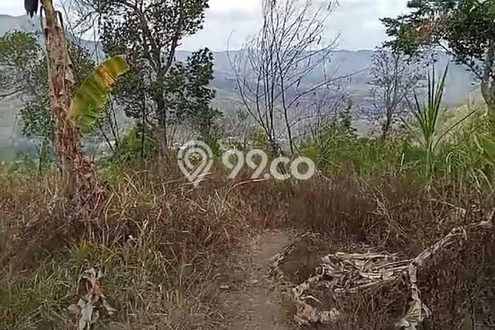 Lahan untuk Dijual di Kintamani Bangli Luas 16700m2 Lahan untuk Dijual di Kintamani Bangli Luas 16700m2