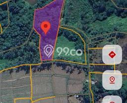 Lahan untuk Dijual di Sukawati Gianyar Luas 4400m2 Lahan untuk Dijual di Sukawati Gianyar Luas 4400m2