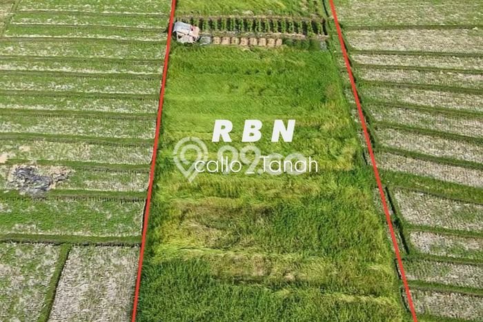 HARGA MENARIK! Tanah Kawasan Beraban, Luas 2300m2m², Area Nyaman HARGA MENARIK! Tanah Kawasan Beraban, Luas 2300m2m², Area Nyaman