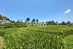 Tanah Dijual di Gianyar Seluas 15800m2 Strategis Tanah Dijual di Gianyar Seluas 15800m2 Strategis
