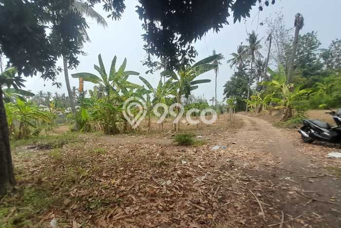 Tanah di Kubutambahan, Buleleng Luas 6400m2 Dijual Segera Tanah di Kubutambahan, Buleleng Luas 6400m2 Dijual Segera