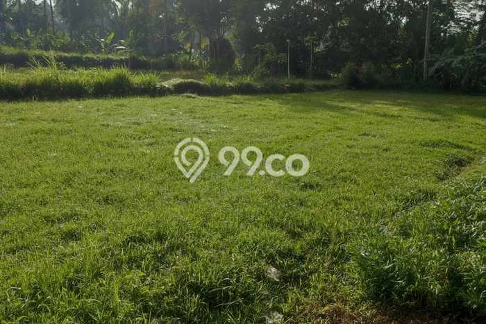 Lahan Dijual Lokasi Strategis di Gianyar dengan Luas 3300m2 Lahan Dijual Lokasi Strategis di Gianyar dengan Luas 3300m2