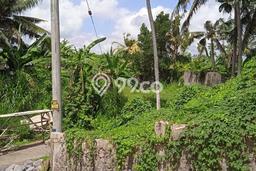Lahan Kosong Dijual di Gianyar, Gianyar, Luas 1055m2 Area Strategis Lahan Kosong Dijual di Gianyar, Gianyar, Luas 1055m2 Area Strategis
