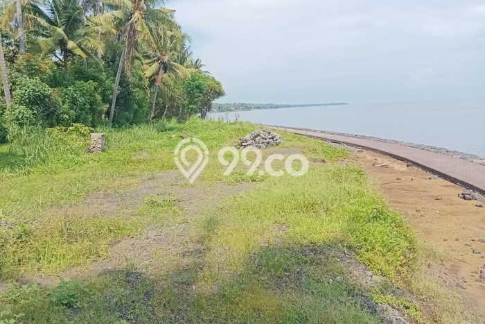 Tanah untuk Dijual di Kubutambahan Buleleng Luas 8400m2 Tanah untuk Dijual di Kubutambahan Buleleng Luas 8400m2