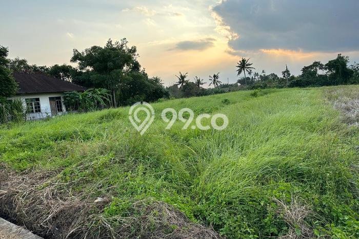 Untuk Dijual Tanah di Tabanan, Luas 1500m2 SHM Untuk Dijual Tanah di Tabanan, Luas 1500m2 SHM