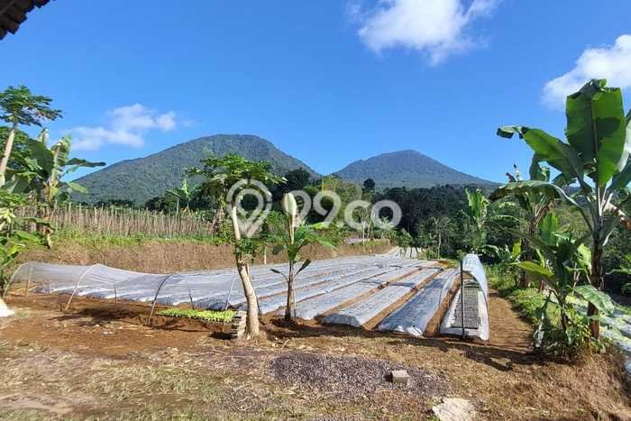 Tanah untuk Dijual Lokasi Baturiti, Tabanan Luas 13000m2 SHM Tanah untuk Dijual Lokasi Baturiti, Tabanan Luas 13000m2 SHM