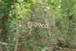 Untuk Dijual Tanah di Gianyar, Luas 8000m2 SHM Untuk Dijual Tanah di Gianyar, Luas 8000m2 SHM