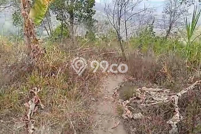 Lahan untuk Dijual di Kintamani Bangli Luas 16700m2 Lahan untuk Dijual di Kintamani Bangli Luas 16700m2