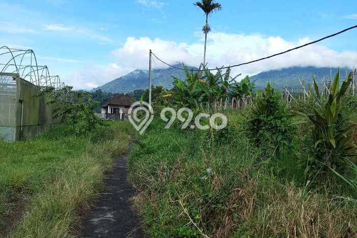 Tanah di Baturiti, Tabanan Luas 40000m2 Dijual Segera Tanah di Baturiti, Tabanan Luas 40000m2 Dijual Segera