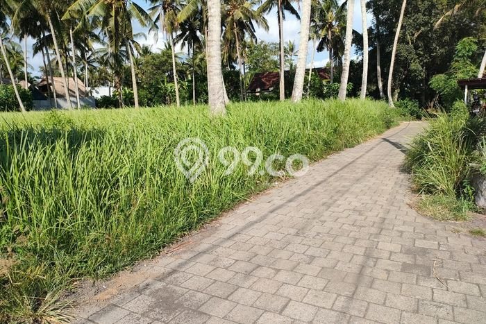 HARGA TERBAIK! Tanah di , Luas 1200m2m², Area Potensial HARGA TERBAIK! Tanah di , Luas 1200m2m², Area Potensial