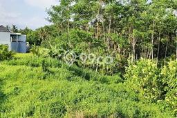 Tanah Kavling Dijual di Lodtunduh, Gianyar dengan Luas Tanah 1700m2 Tanah Kavling Dijual di Lodtunduh, Gianyar dengan Luas Tanah 1700m2