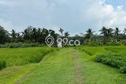 Tanah Kavling Dijual di Gianyar dengan Spesifikasi 12000m2 Tanah Kavling Dijual di Gianyar dengan Spesifikasi 12000m2