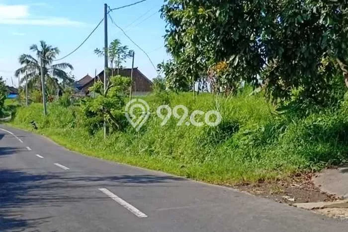 Tanah di Baturiti, Tabanan Luas 40000m2 Dijual Segera Tanah di Baturiti, Tabanan Luas 40000m2 Dijual Segera