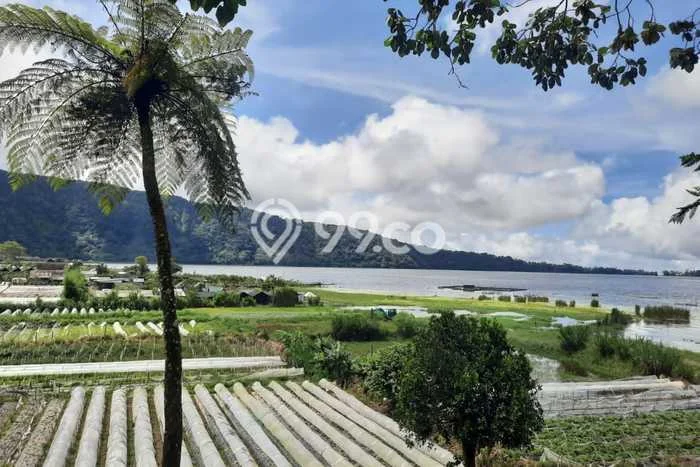 Kavling Tanah untuk Dijual di Bedugul, Tabanan, Luas 4240m2 Kavling Tanah untuk Dijual di Bedugul, Tabanan, Luas 4240m2